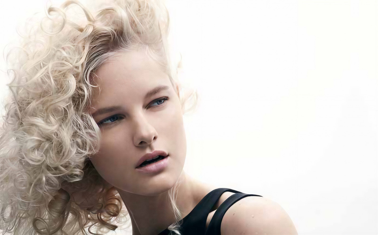 Look · La Biosthétique Trend Collection